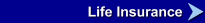 Life Insurance