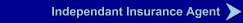 Independant Insurance Agent