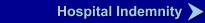 Hospital Indemnity