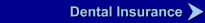 Dental Insurance