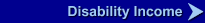 Disability Income